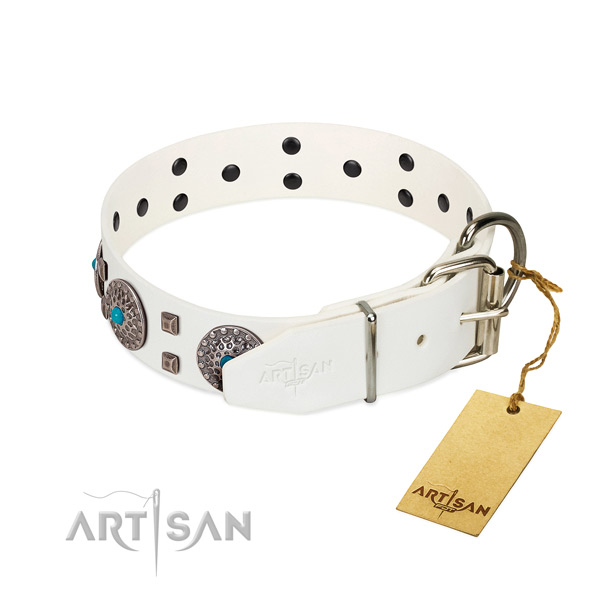 Top notch leather dog collar with studs for daily use