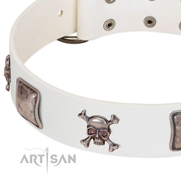 Corrosion resistant embellishments on full grain natural leather dog collar