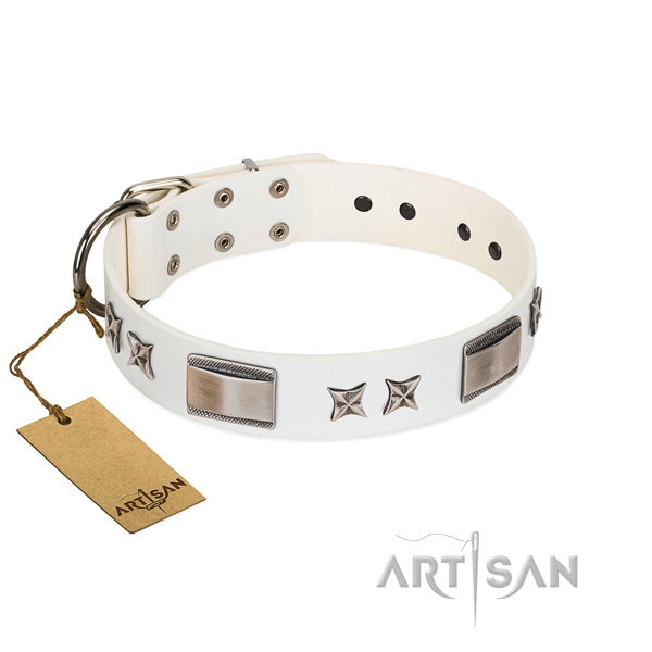 Inimitable dog collar of full grain genuine leather