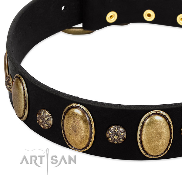 Walking quality full grain natural leather dog collar
