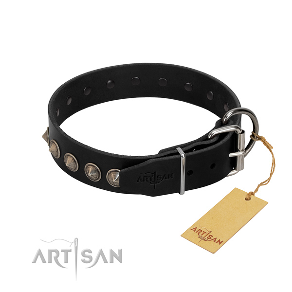 Fashionable studded full grain natural leather dog collar for walking