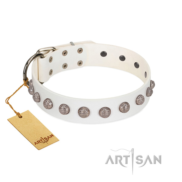 Reliable traditional buckle on full grain genuine leather dog collar for basic training