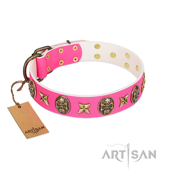 Genuine leather dog collar with reliable embellishments