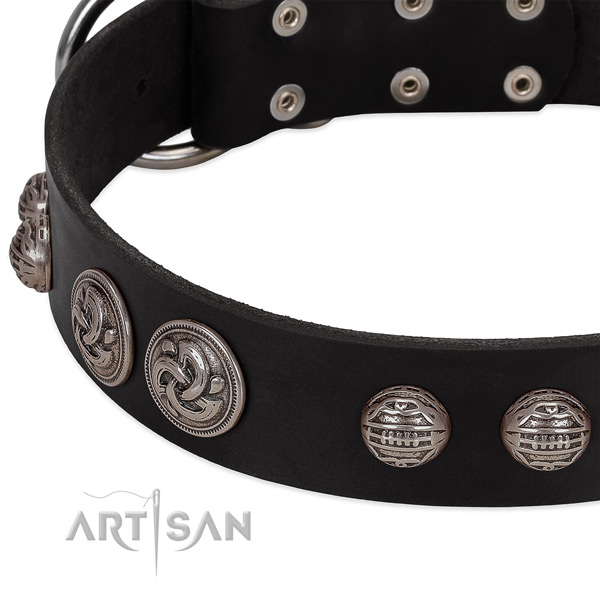 Strong hardware on full grain leather collar for fancy walking your dog