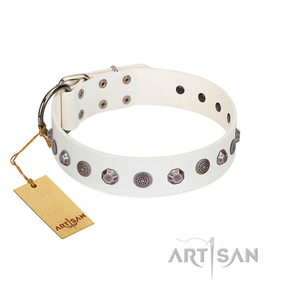 Natural leather dog collar of quality material with stunning decorations