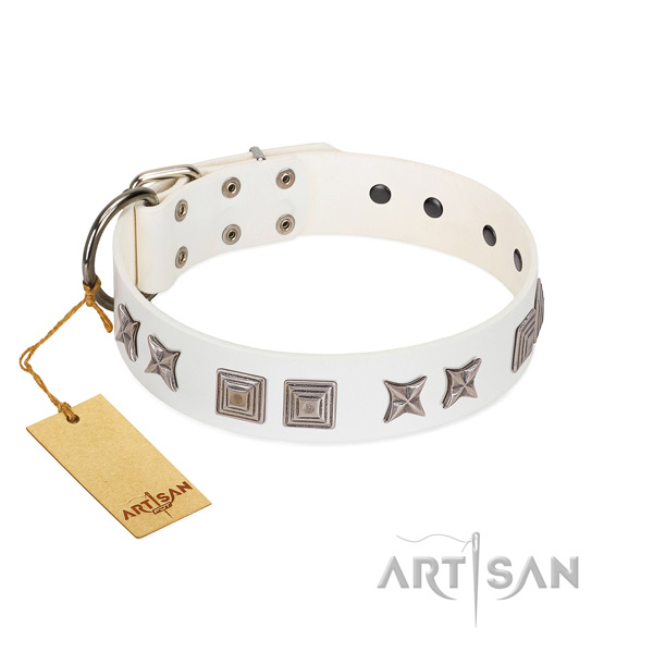 Natural leather dog collar with fashionable decorations handcrafted doggie