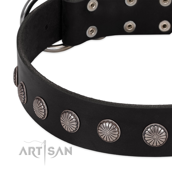 Top notch full grain genuine leather dog collar with embellishments for daily use