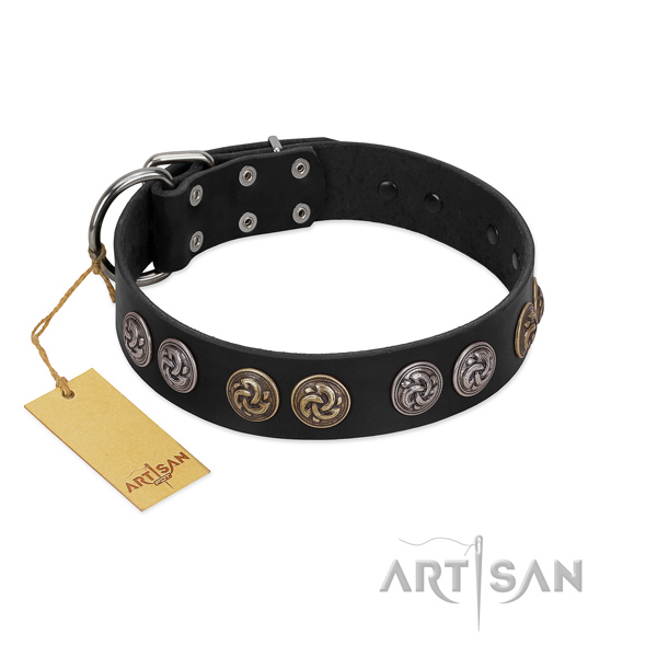 Rust-proof fittings on handmade leather dog collar
