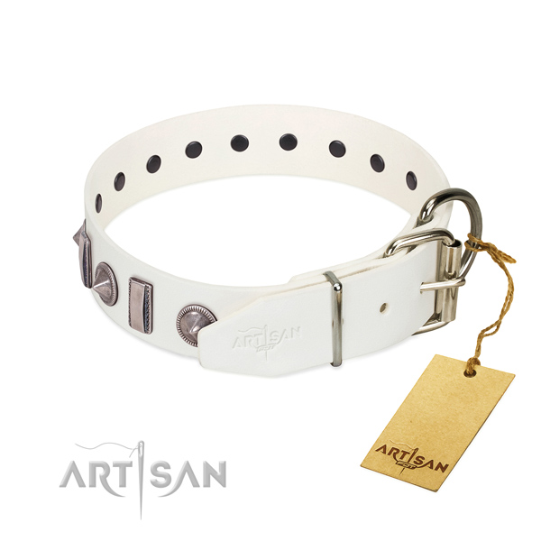 Everyday walking leather dog collar with impressive studs
