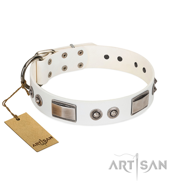 Amazing dog collar of leather with adornments