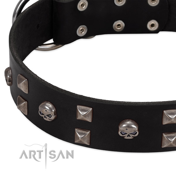 Top rate natural leather dog collar created for your four-legged friend