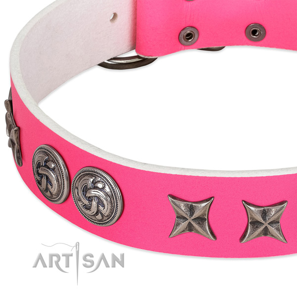 Full grain genuine leather collar with stylish embellishments for your dog