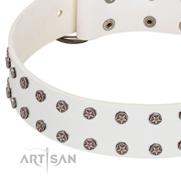 Inimitable genuine leather dog collar for walking