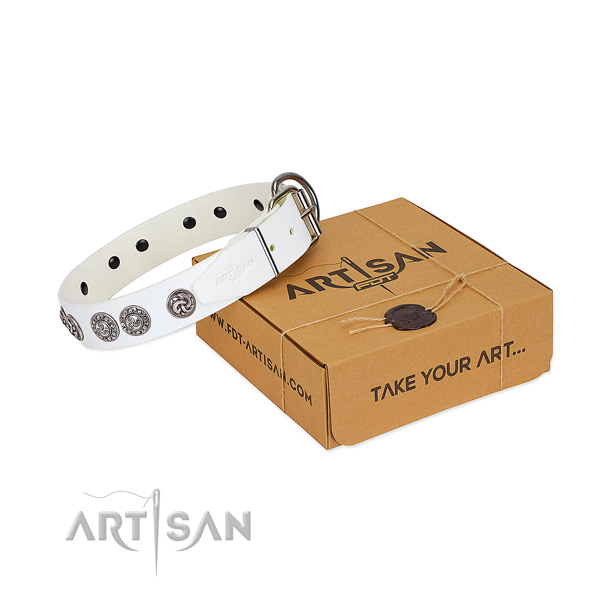 Amazing full grain genuine leather collar for your canine walking in style