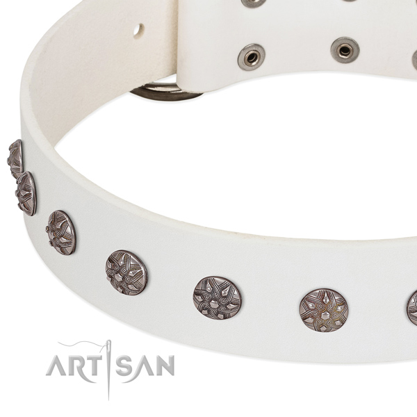 Best quality natural leather dog collar with studs for your pet