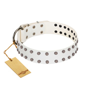 "White Night" FDT Artisan White Leather dog Collar with Vinatge Silver-like Studs
