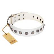 "Solar Energy" FDT Artisan White Leather dog Collar with Silver-like Studs and Medallions