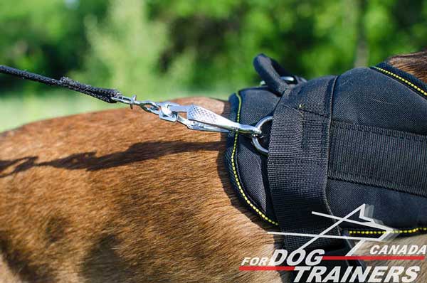 Belgian Malinois nylon harness with one D-ring on the back part and two on the back parts