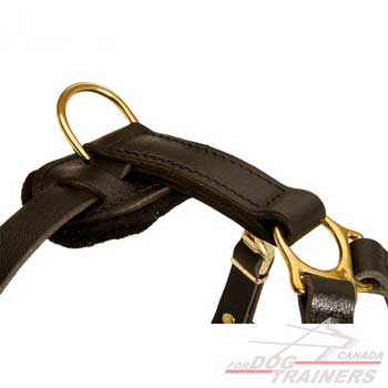 D-ring on dog harness for lead fastening