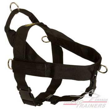 2 Ways Adjustable Nylon Dog Harness with Quick Release Buckle
