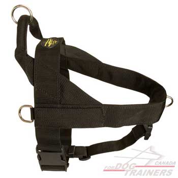 Strong Handle on Nylon Dog Harness