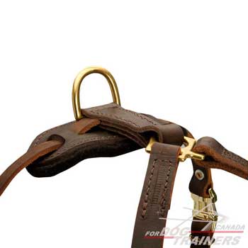 Dog Harness Brass Hardware