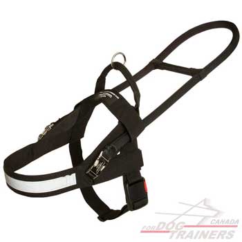 Black for sale online Abc Guide Harness 