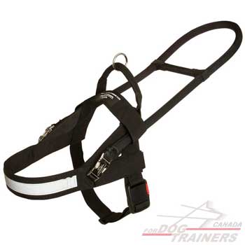  Dog nylon harness with reflective trim for night walks
