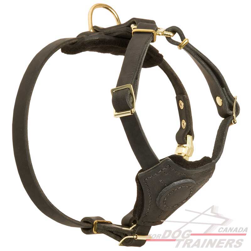 Get Small Adjustable Leather Dog Harness for Puppies and Small Dogs