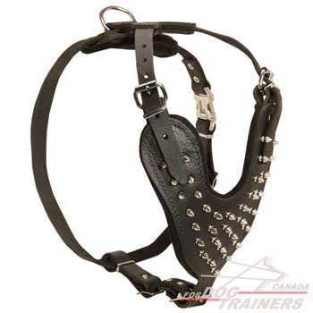 Leather dog harness with spikes for stylish walking