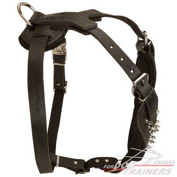 Dog harness leather felt padded easy adjustable