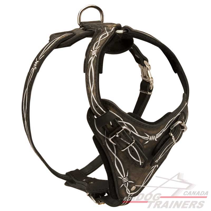 Order Fashion Leather Harness with Control Handle ...