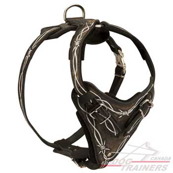 Leather dog harness