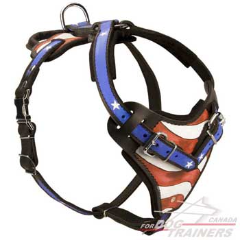Leather dog harness designer for walking