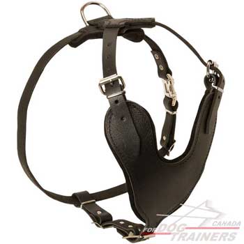 Leather dog harness strong with smooth chest plate