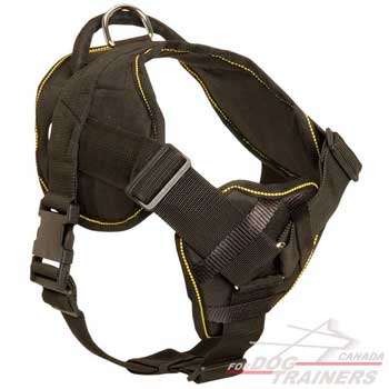 Nylon harness for dogs with chest plate and adjustable straps