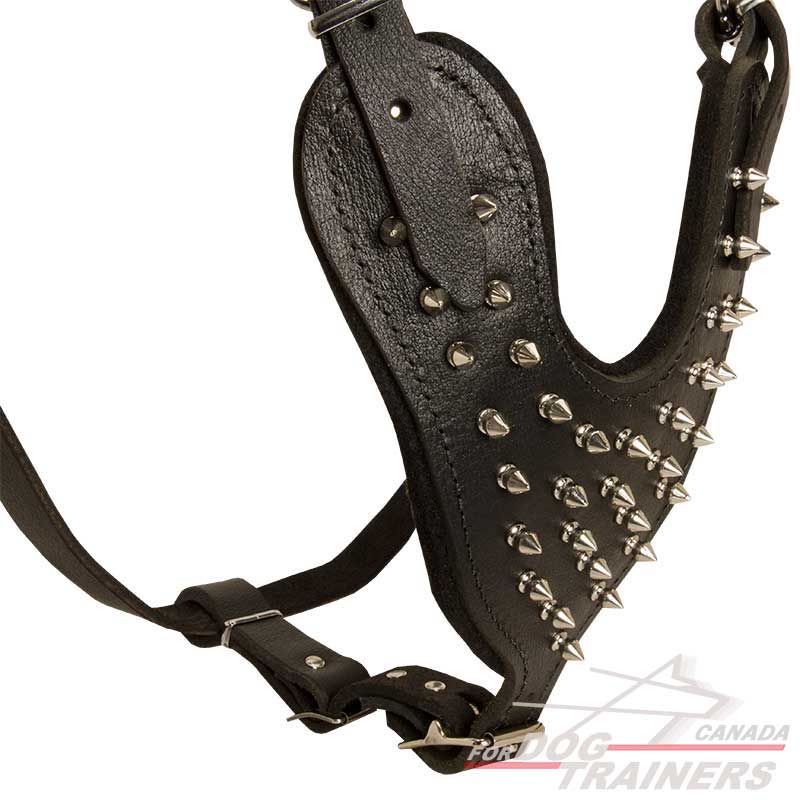 Buy Adjustable Leather Spiked Dog Harness for Walking and Training
