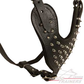 Leather dog spiked harness with riveted fittings