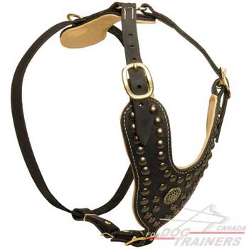  Harness for dogs with leather padding on the chest plate