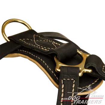 Harness for dogs with sturdy hardware and D-ring