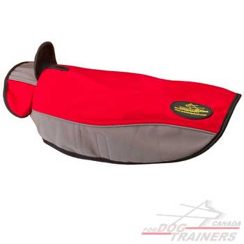 Dog jacket for wintertime