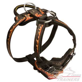 Adjustable Leather Canine Harness