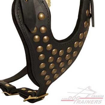 Adjustable Leather Chest Plate