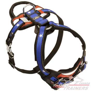 Leather dog harness adjustable  with handle