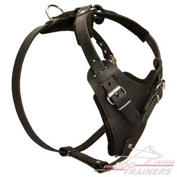 Leather Dog Harness with Adjustable Straps