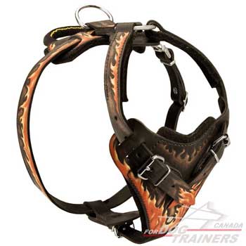 Leather Dog Harness with Adjustable Straps