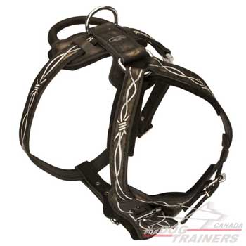 Leather dog harness with fashionable painting