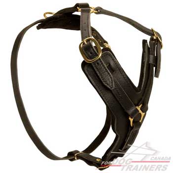 Dog leather harness padded with thick felt