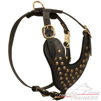 Leather Harness for Dog Walking