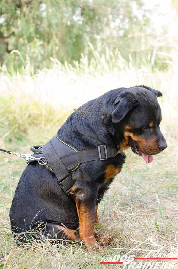 Rottweiler Harness Nylon-Made